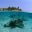 bel02-gosnorkelling-inn-at-free-robsgrove
