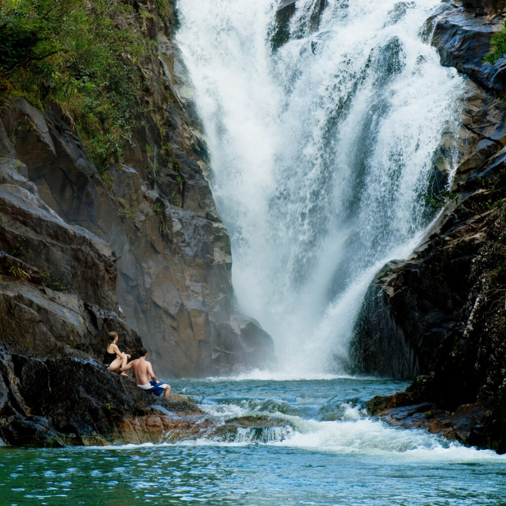 bel09-swimnatural-pools-free