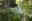 bel13-manatees-free-istock-000005780814