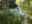 bel13-manatees-free-istock-000005780814