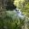 bel13-manatees-free-istock-000005780814