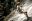 BEL26-AntelopeFalls-Belize-BocawinaLodge-HotelOwned-3
