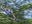 BEL27-ziplining-BocawinaLodge-HotelOwned-77