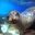 GPS_sealion_shutterstock147144572_freewithcredit
