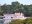 bra01-tucano-free-amazonnaturetours
