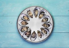 bra05-oysters-free-ducangriffin bra05-oysters-free-ducangriffin