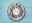 bra05-oysters-free-ducangriffin