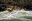 bra06-whitewaterrafting-unknown