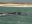 bra07-whalewatch-free-santur