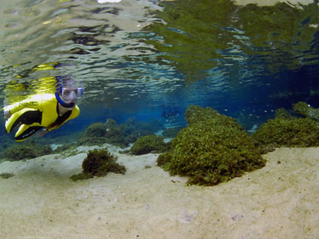 BRA11_GoSnorkelling_PixieImage