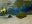BRA11_GoSnorkelling_PixieImage