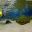 BRA11_GoSnorkelling_PixieImage