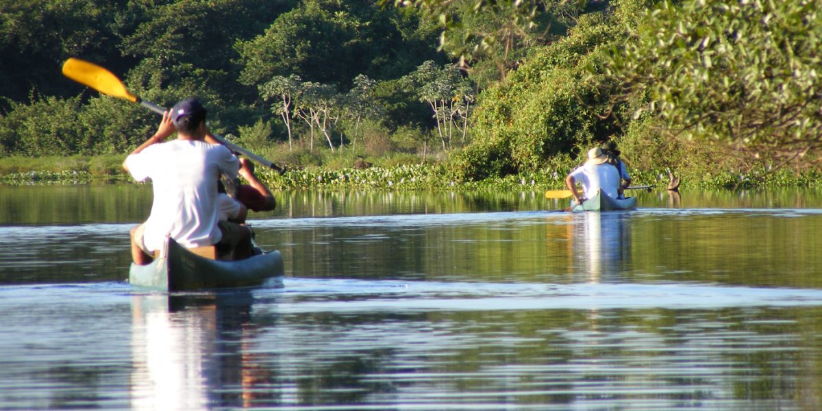 BRA15_GoWildlifeSpottingInThePantanal_TamsinButler_Free