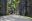 bra19-riogradens-free-jspaull