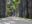 bra19-riogradens-free-jspaull