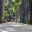 bra19-riogradens-free-jspaull