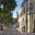 bra29-cachoriea-free-dn