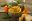 BRA35-taste_the_flavours_of_Bahia-Shutterstock