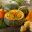 BRA35-taste_the_flavours_of_Bahia-Shutterstock
