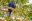 BRA_Pantanal_HyacinthMacaw_iStock-1129116558