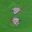 Brazil_ThePantanal_ShutterStock-6