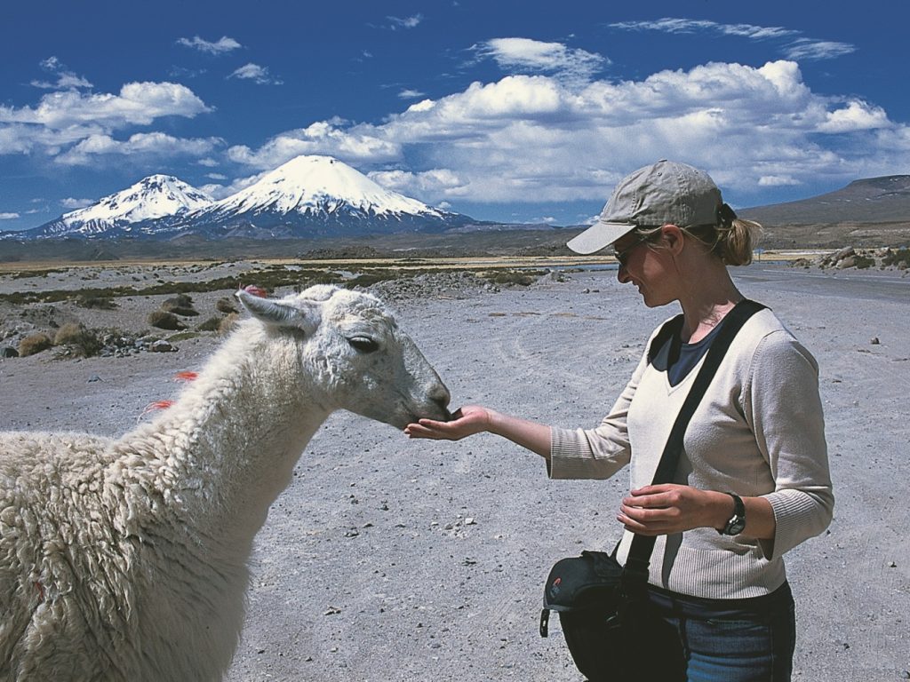 llama clouds girl feeding