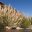 chi15-unwind-in-a-hot-spring-free-turismochile