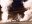 chi17-geysers-free-explora chi17-geysers-free-explora