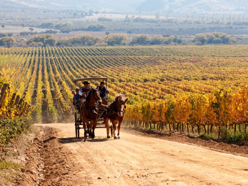 chi20-winetour-free-turismochile