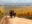chi20-winetour-free-turismochile