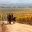chi20-winetour-free-turismochile