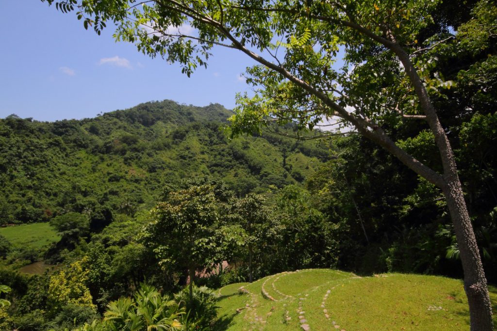 col09-taironaka-nature-reserve-proexport-free