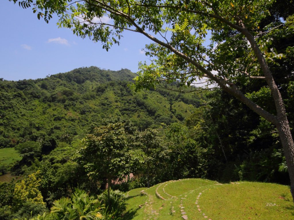 col09-taironaka-nature-reserve-proexport-free