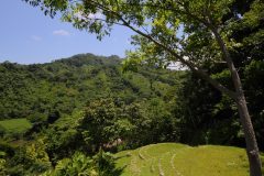col09-taironaka-nature-reserve-proexport-free col09-taironaka-nature-reserve-proexport-free