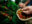 col10-coffee-production-proexport-free