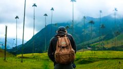 col12-valle-de-cocora-proexport-free
