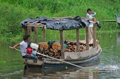 COL_amazonboat_EcoDestinos COL_amazonboat_EcoDestinos