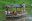 COL_amazonboat_EcoDestinos