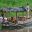 COL_amazonboat_EcoDestinos