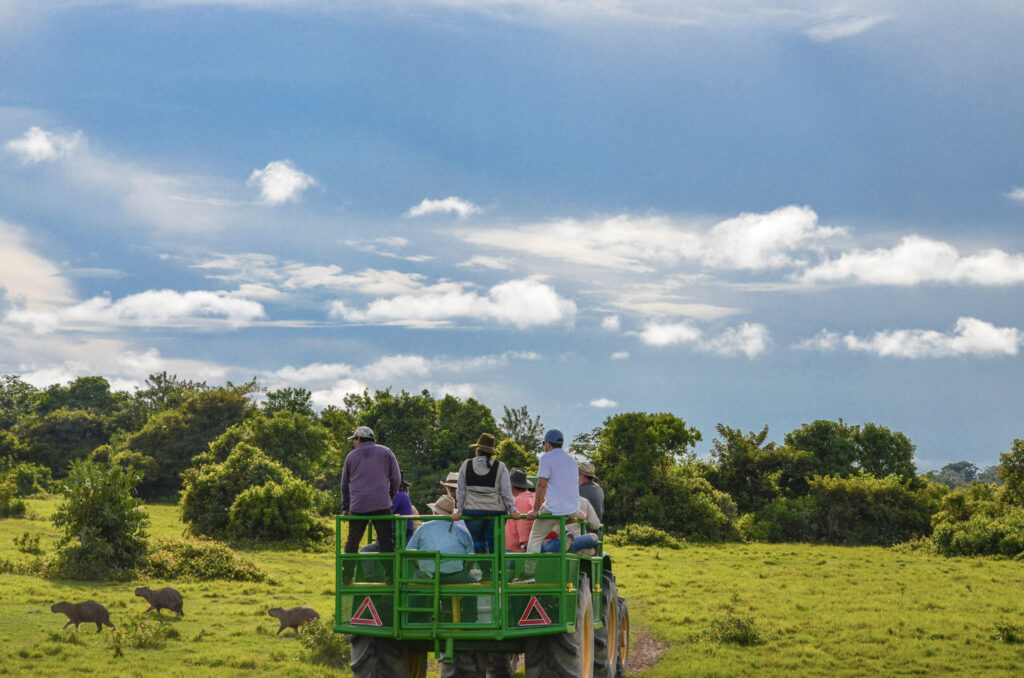 ColombiaLosllanosSafariNeptuno