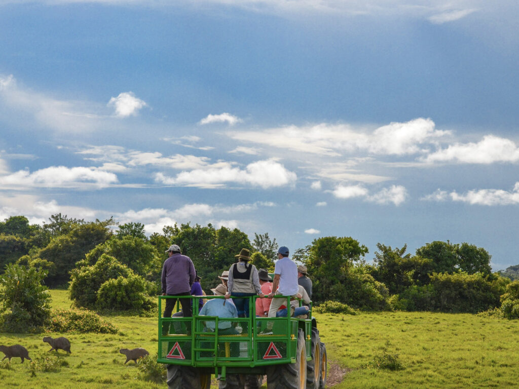 ColombiaLosllanosSafariNeptuno