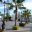 Mexico_Baja_Todos_Santos_ClaireMilner_square_1
