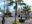 Mexico_Baja_Todos_Santos_ClaireMilner_square_1