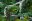 COS _OsaPeninsula_ChestnutBilledToucan_MN_free
