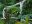 COS _OsaPeninsula_ChestnutBilledToucan_MN_free