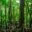 cos01-hike-up-to-a-crater-lake-free-rafe-crop