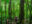 cos01-hike-up-to-a-crater-lake-free-rafe-crop