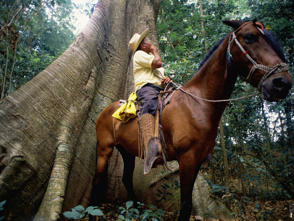 cos02-horse-ride-to-la-fortuna-falls-free-ict