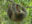 Wildlife Reserve Costa Rica
