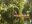 cos11-kayaking-and-wildlife-spotting-free-cre